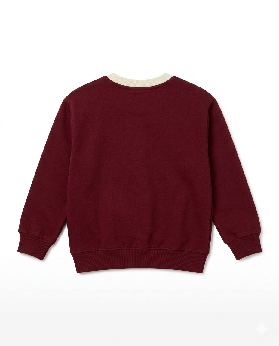 Boys Maroon Dinosaur Print Cotton Sweatshirt