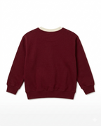 Boys Maroon Dinosaur Print Cotton Sweatshirt