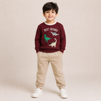 Boys Maroon Dinosaur Print Cotton Sweatshirt