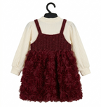 Baby Girls Maroon Flower Dress Set