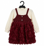 Baby Girls Maroon Flower Dress Set