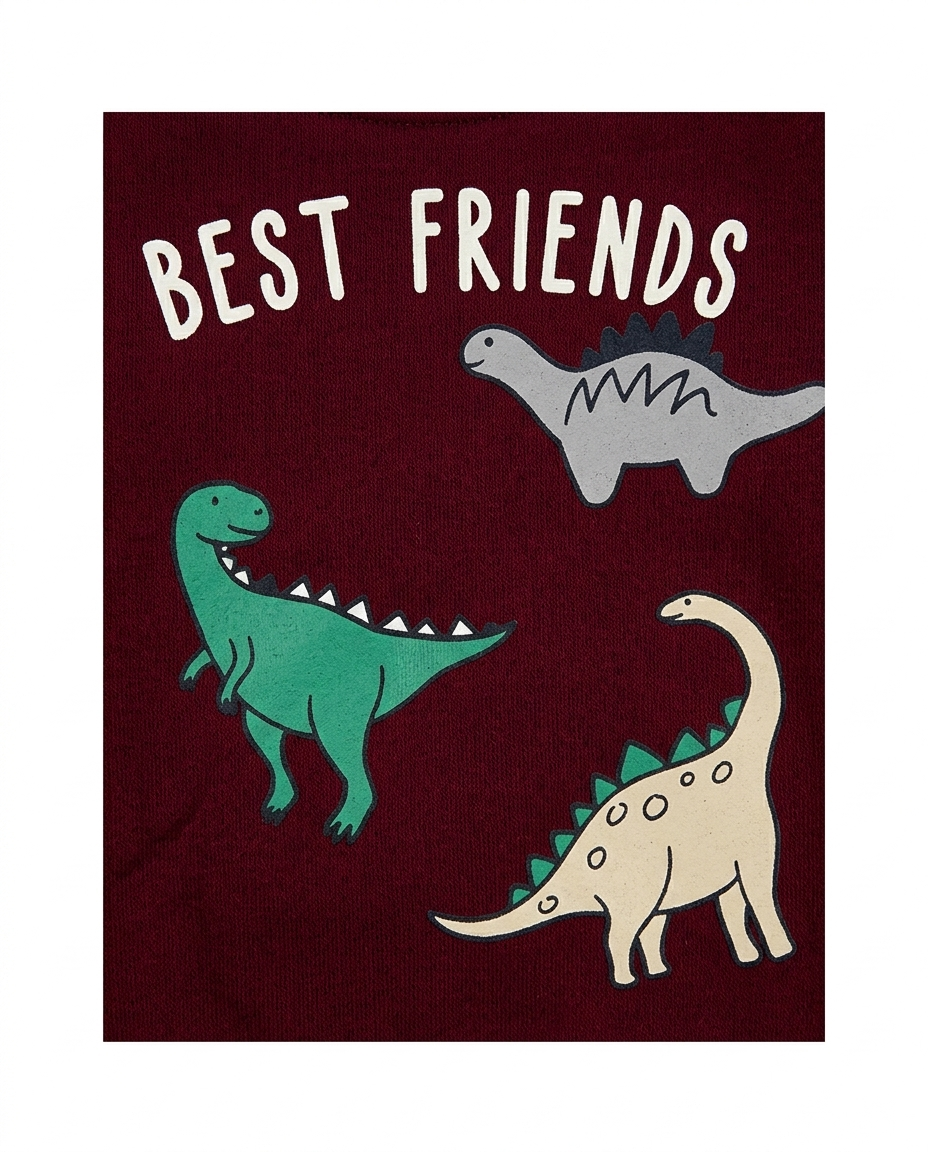 Boys Maroon Dinosaur Print Cotton Sweatshirt