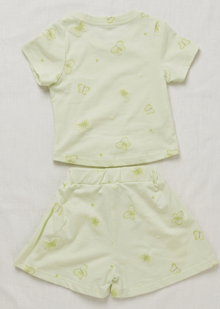 Girls Light Green Butterfly T Shirt and Shorts