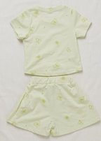 Girls Light Green Butterfly T Shirt and Shorts