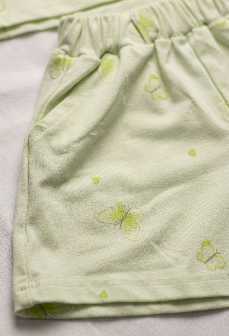 Girls Light Green Butterfly T Shirt and Shorts